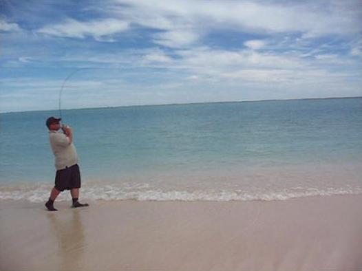 the chaser the chaser